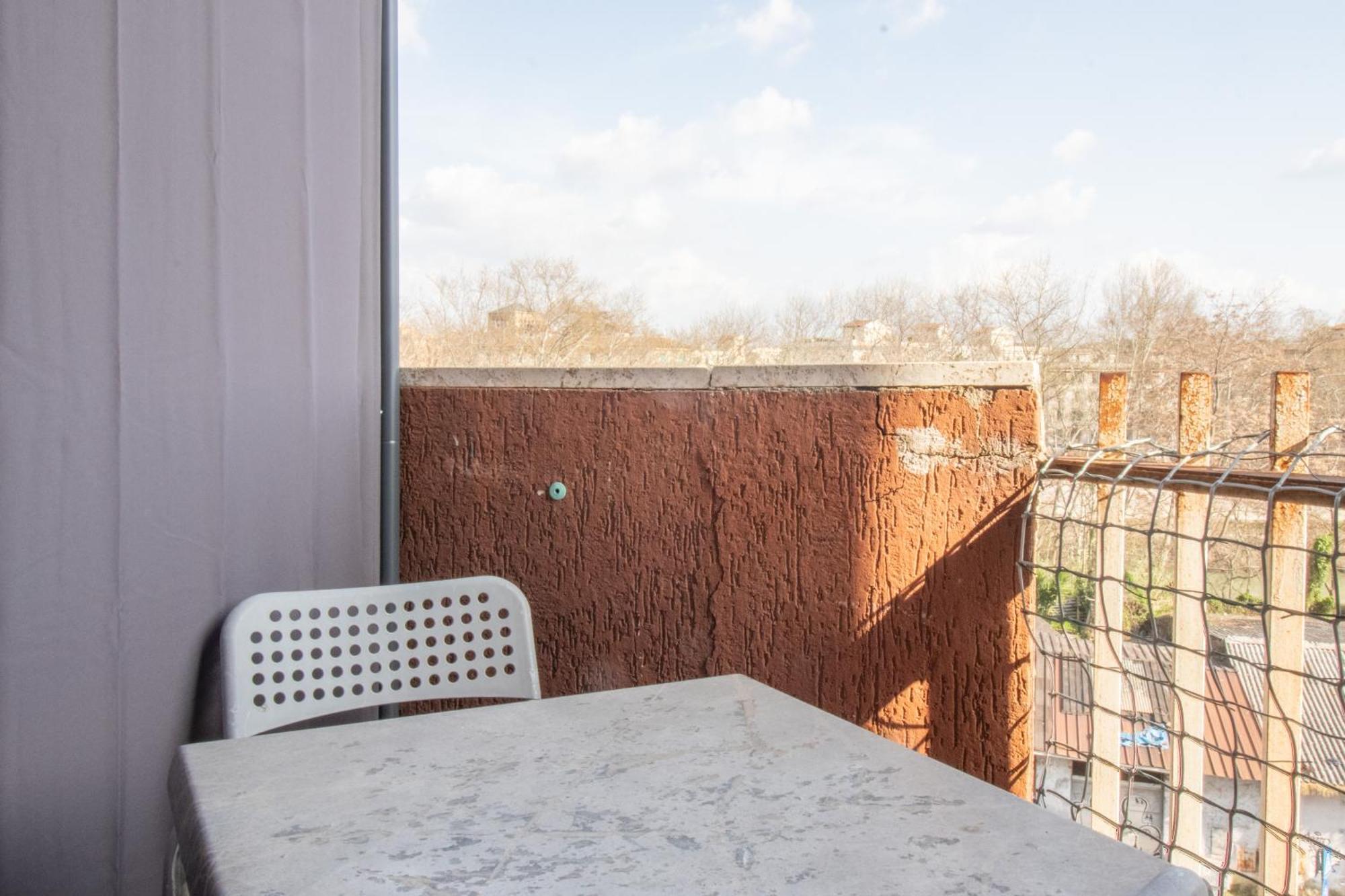 Lion Renting Trastevere — Fotografii 3